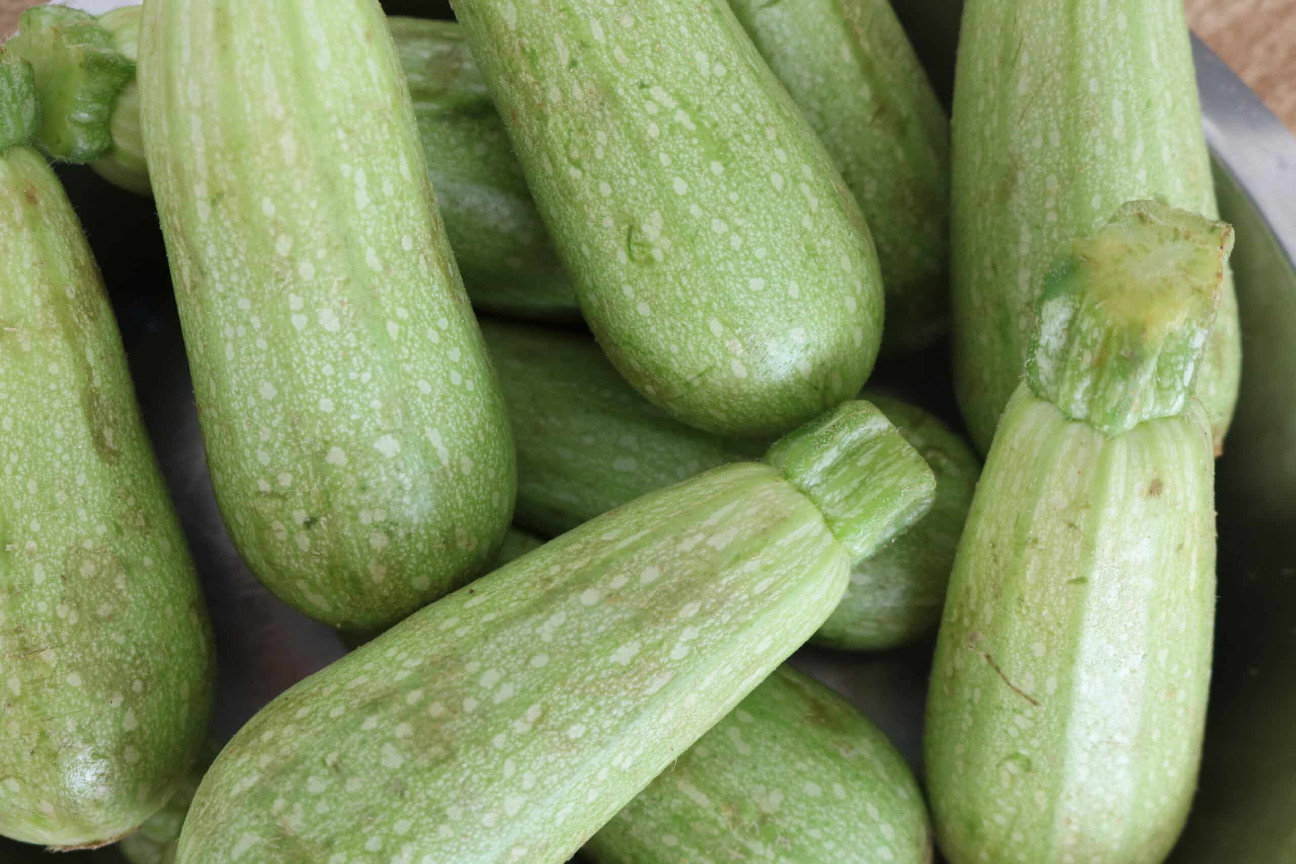 zucchini