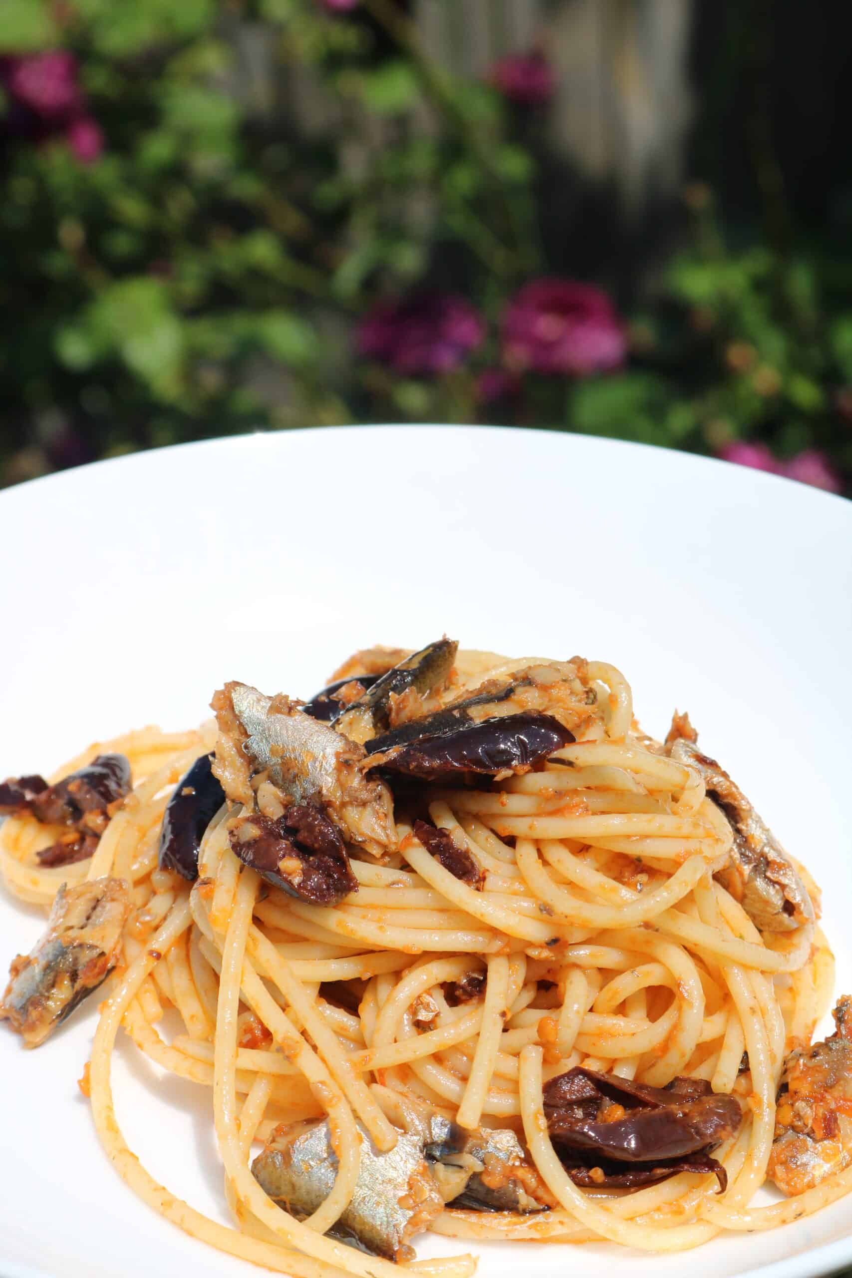 pasta with sardines and olives in a light tomato sauce