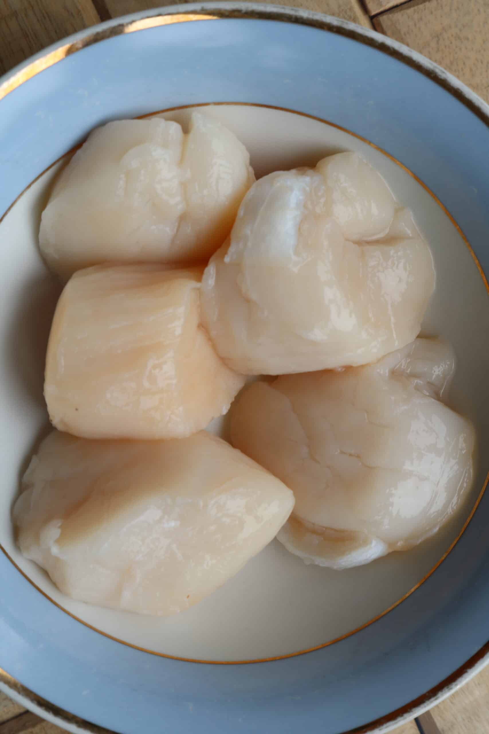 scallops