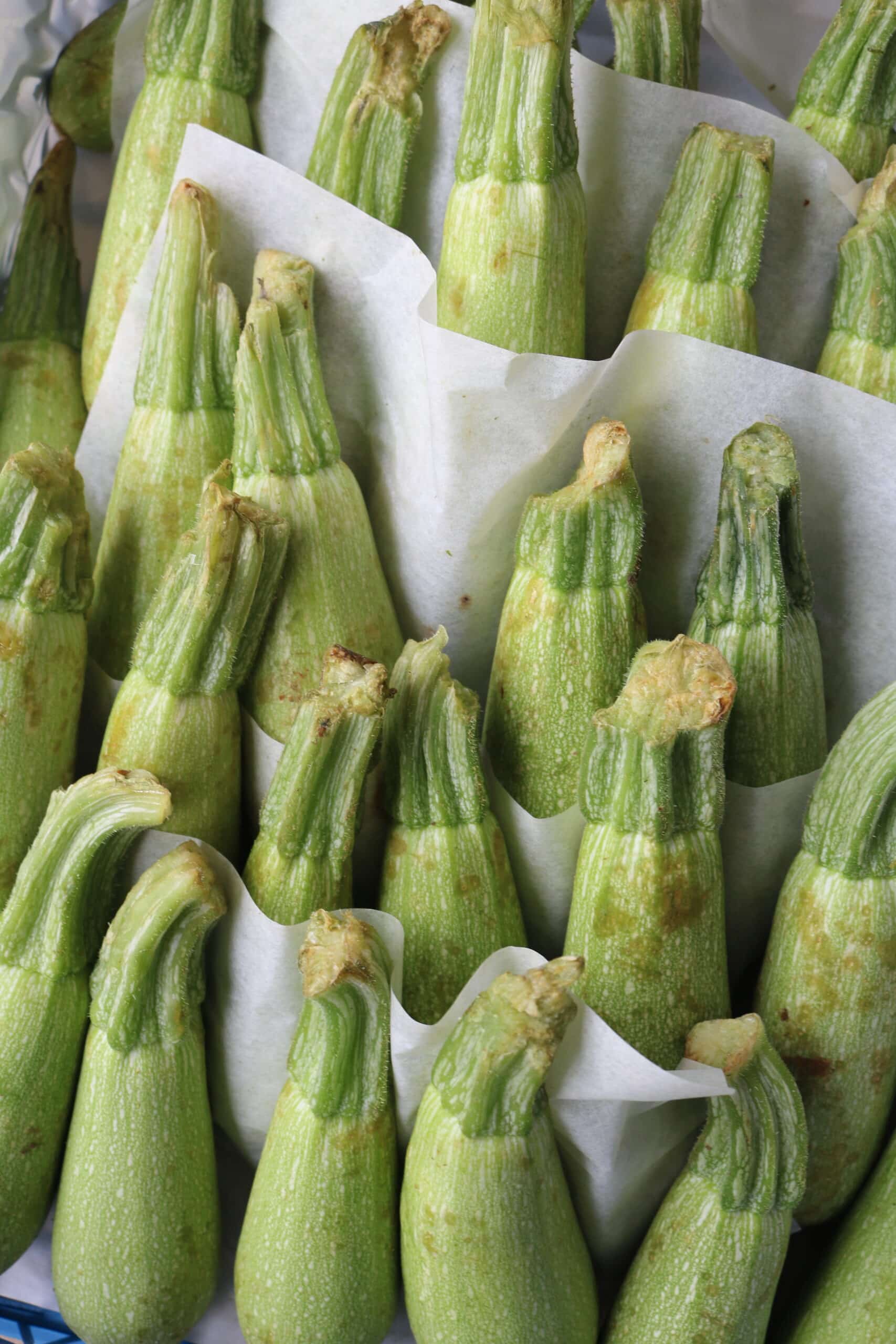 zucchini (courgette)