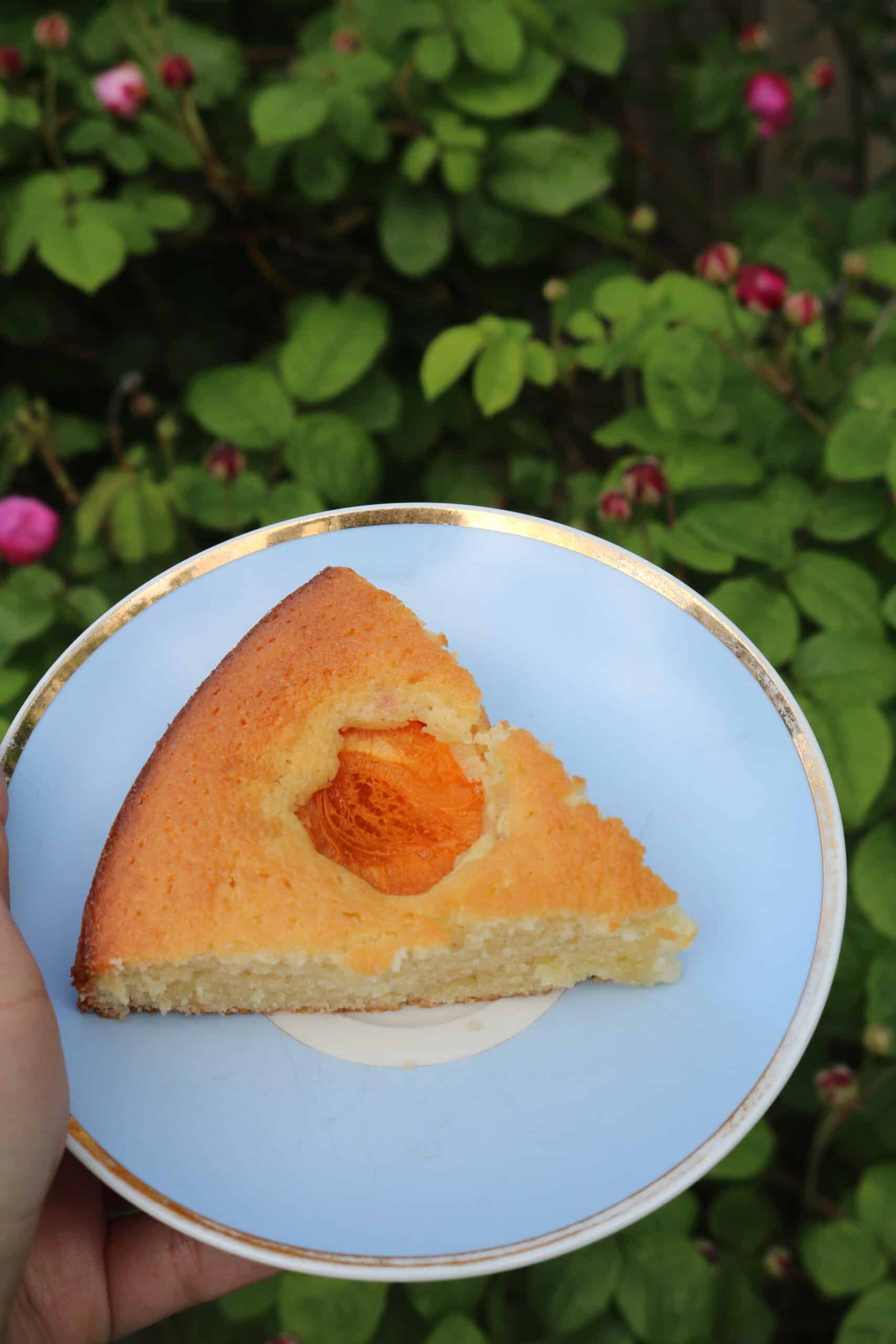 fresh apricot cake
