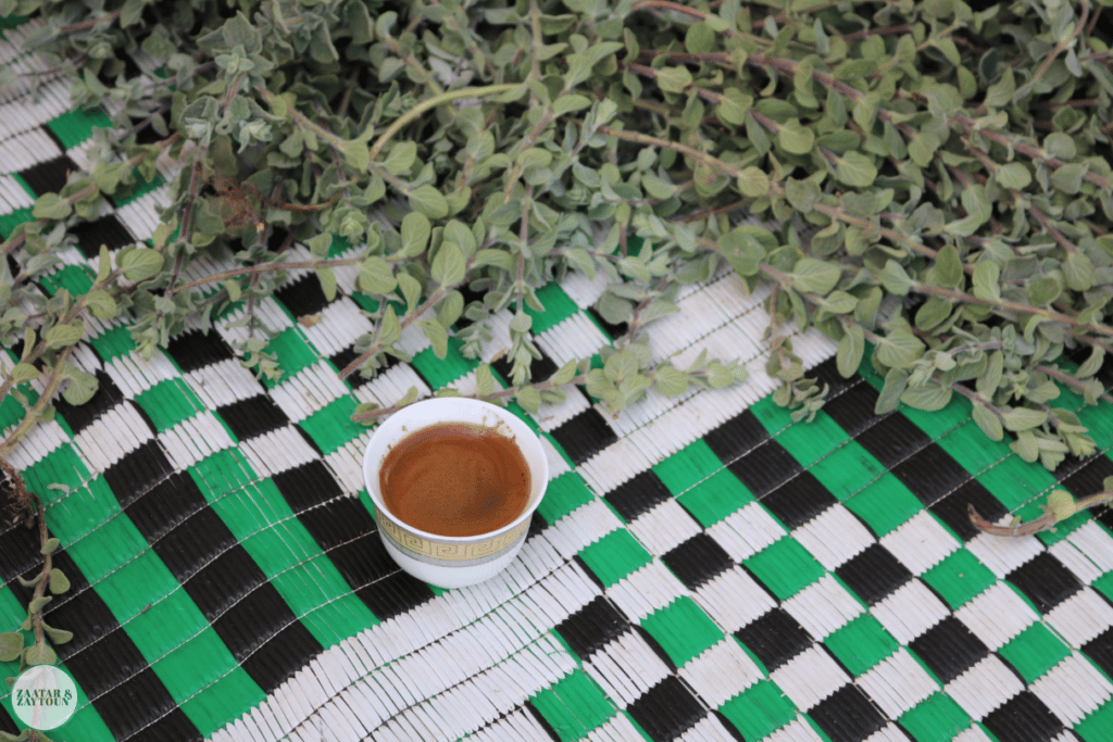 Zaatar picking