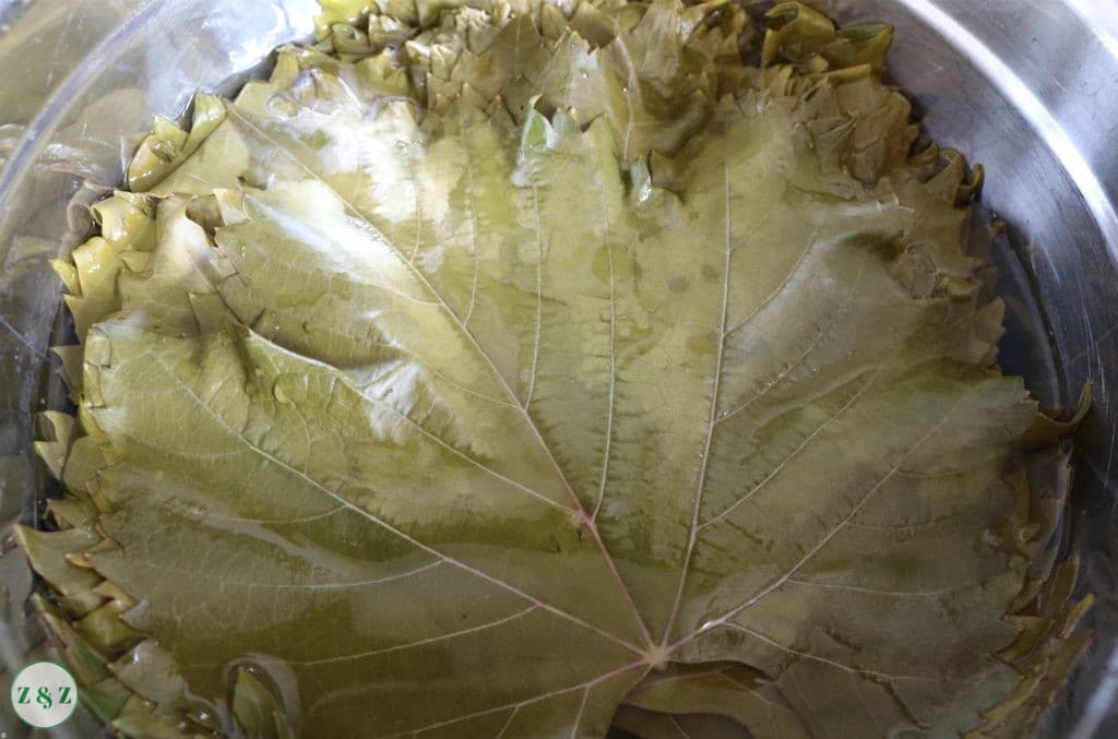 blanched vine leaves