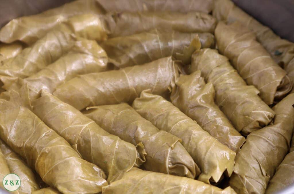 stuffed grape leaves