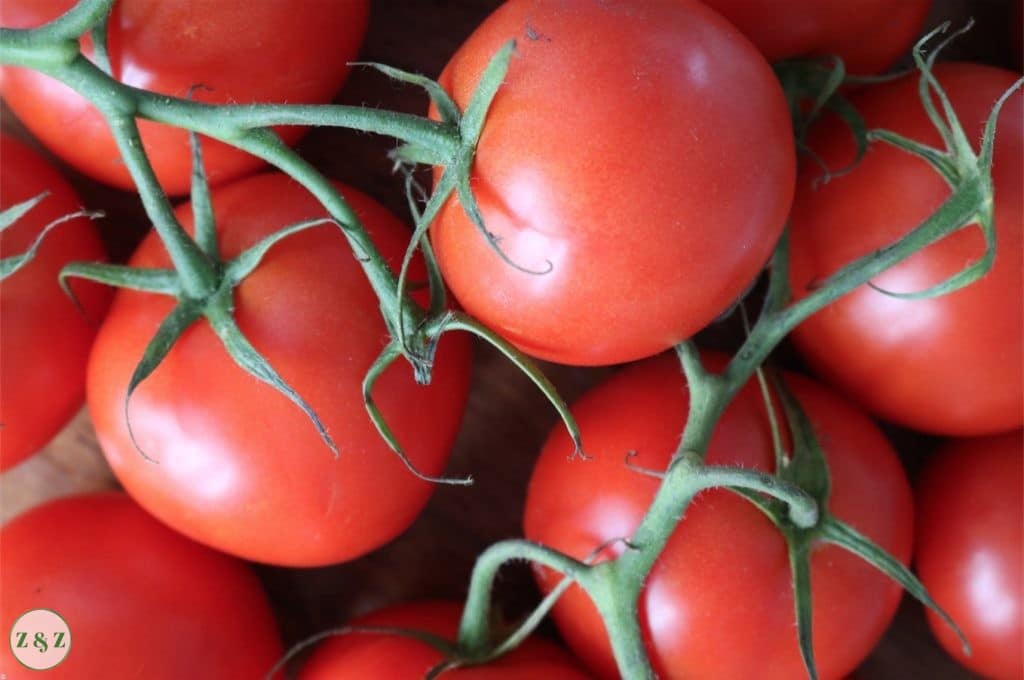 vine tomatoes