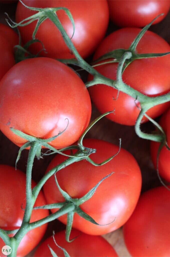 vine tomatoes