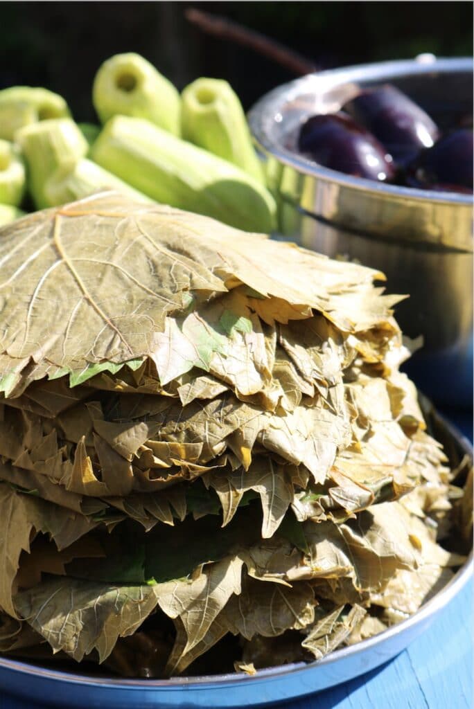 Blanched grape leaves