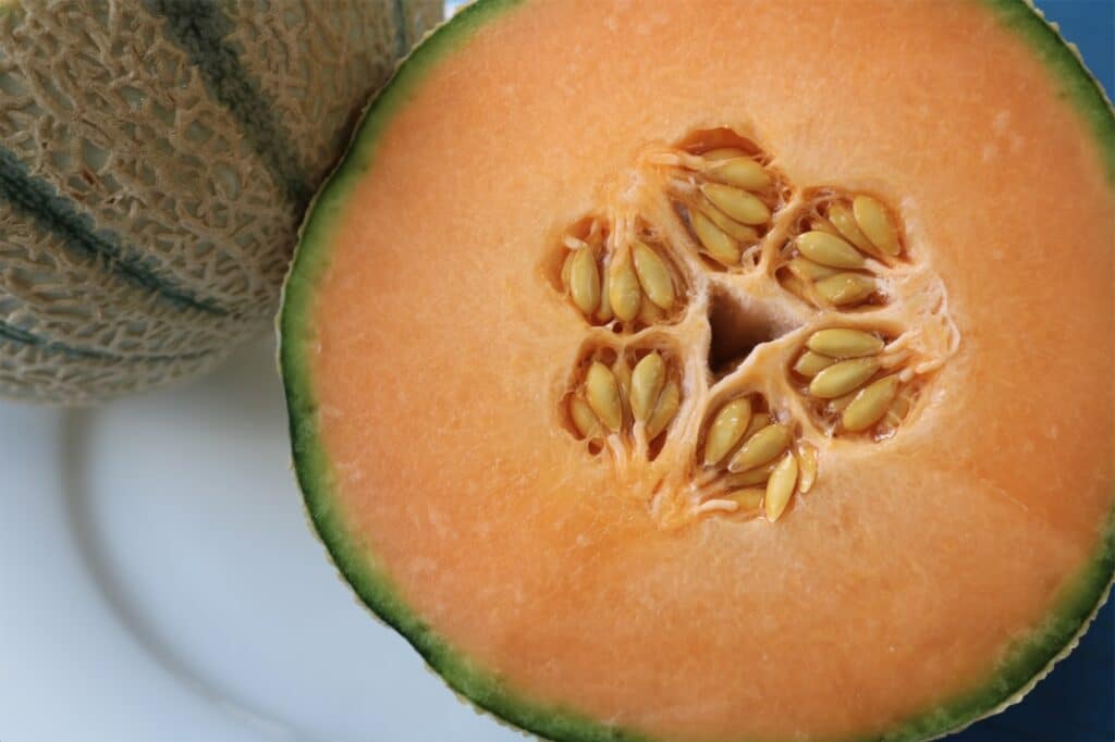 cantaloupe