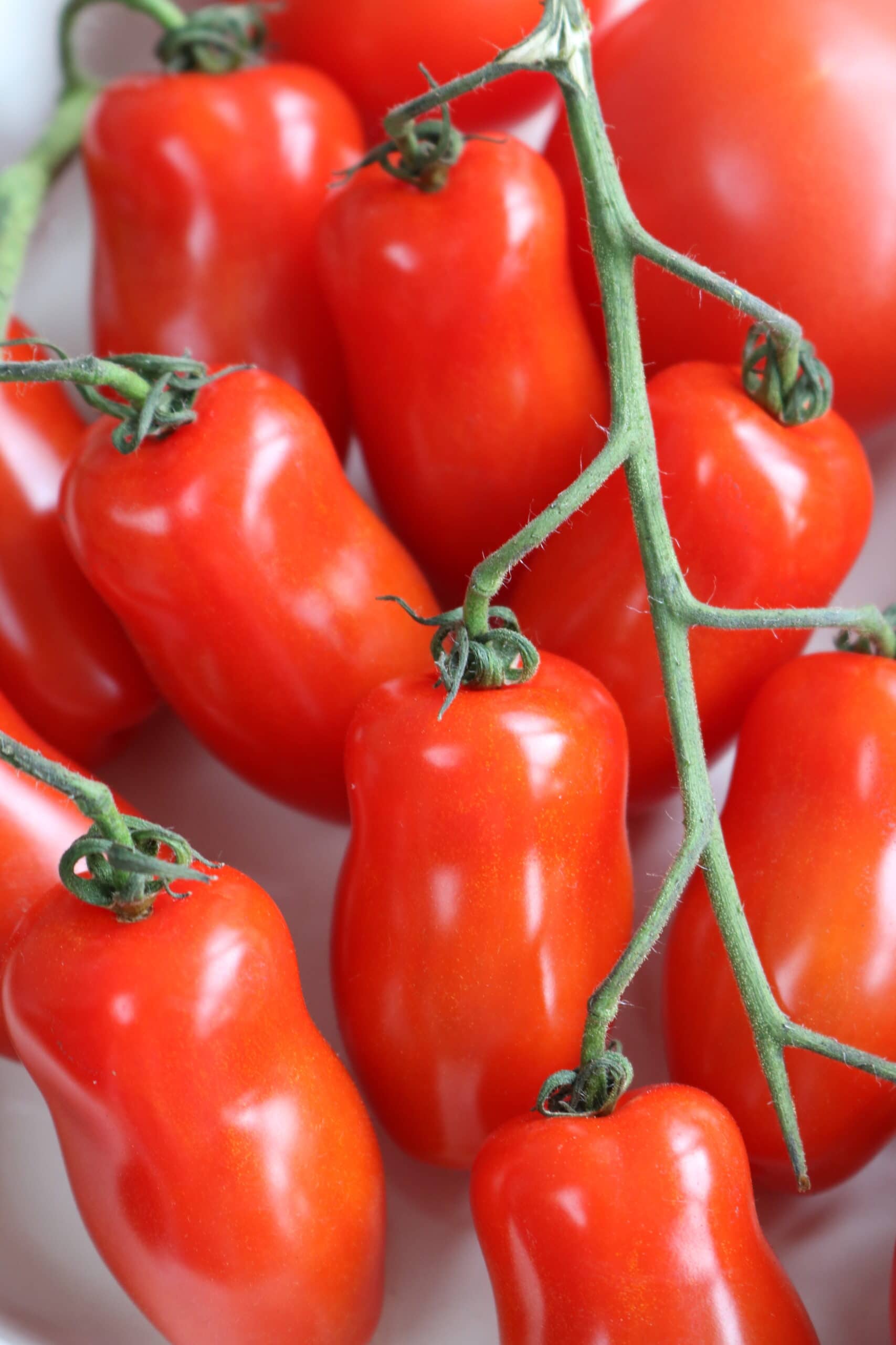 san marzano tomatoes