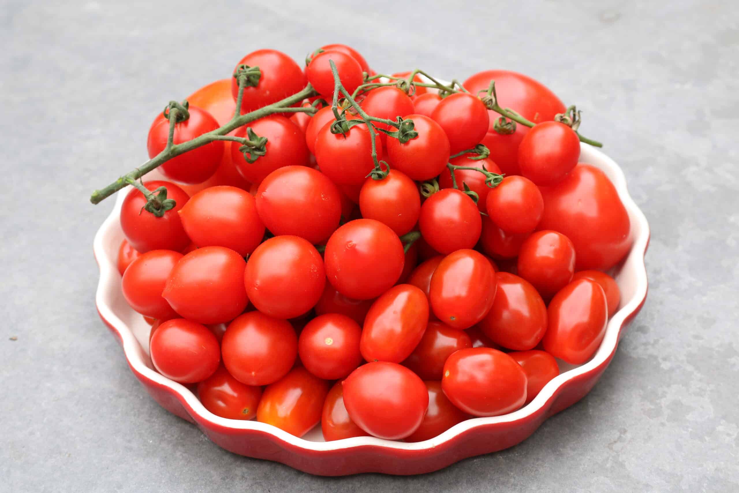 tomatoes