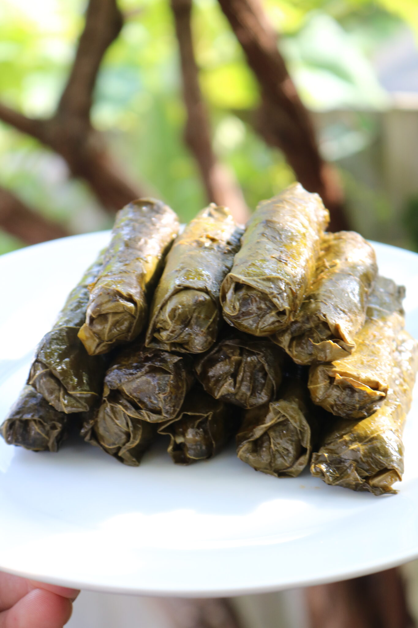 Lebanese Vegetarian Stuffed Grape Leaves (warak enab)