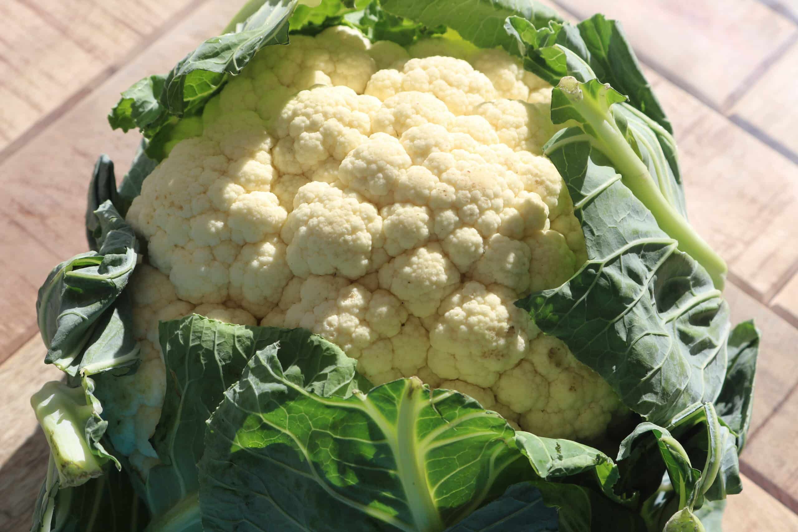 cauliflower