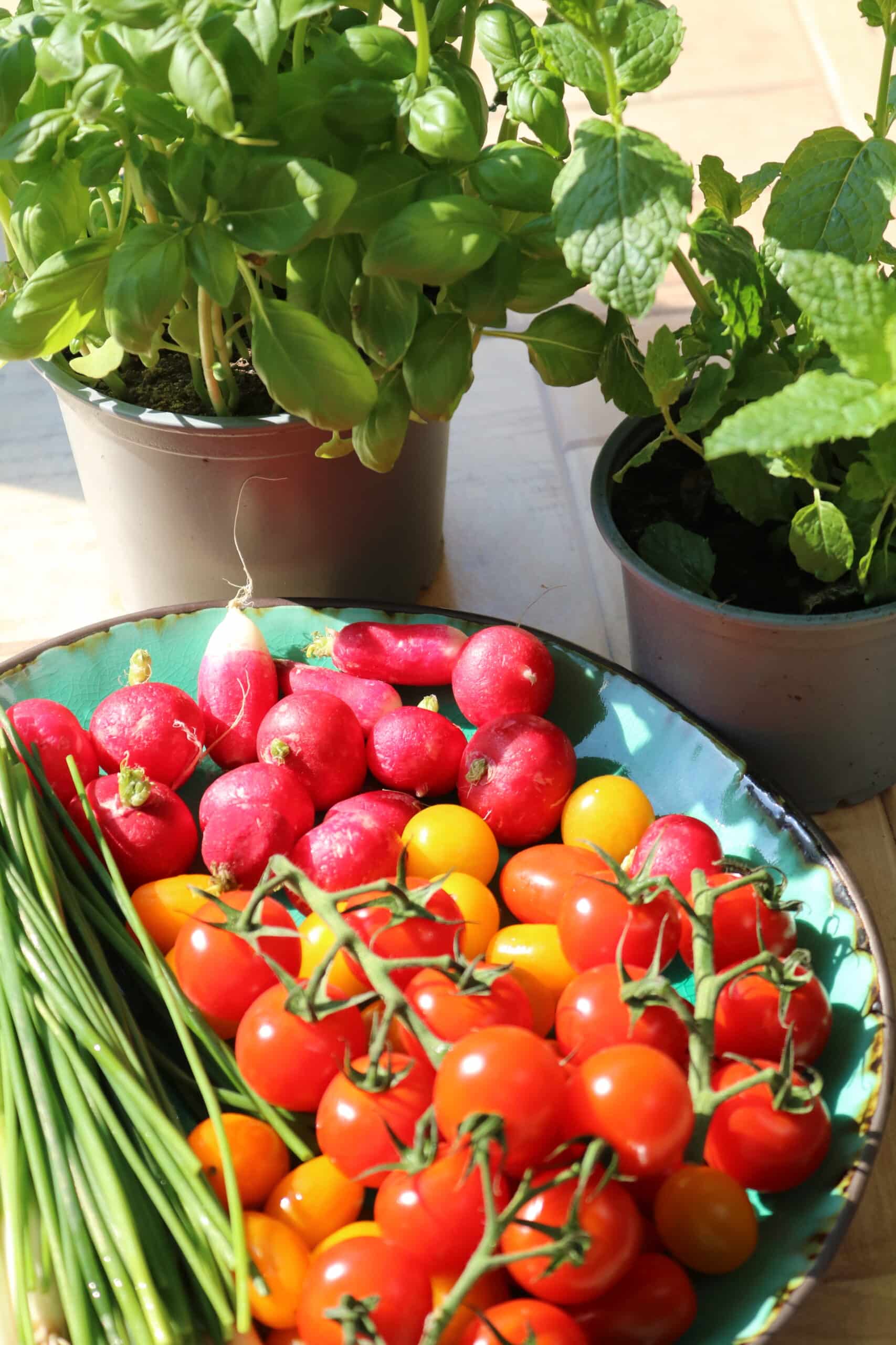 salad ingredients