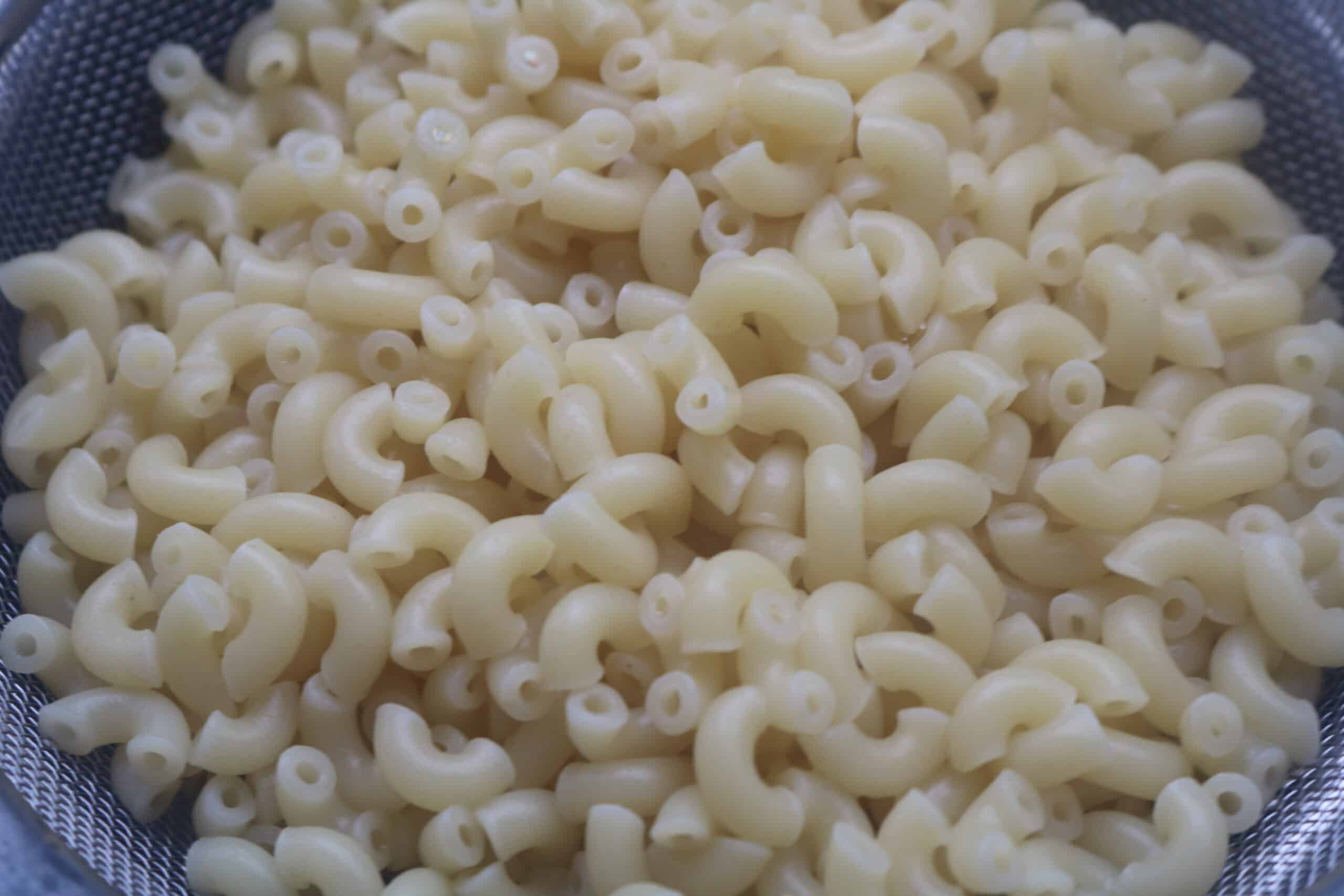 macaroni