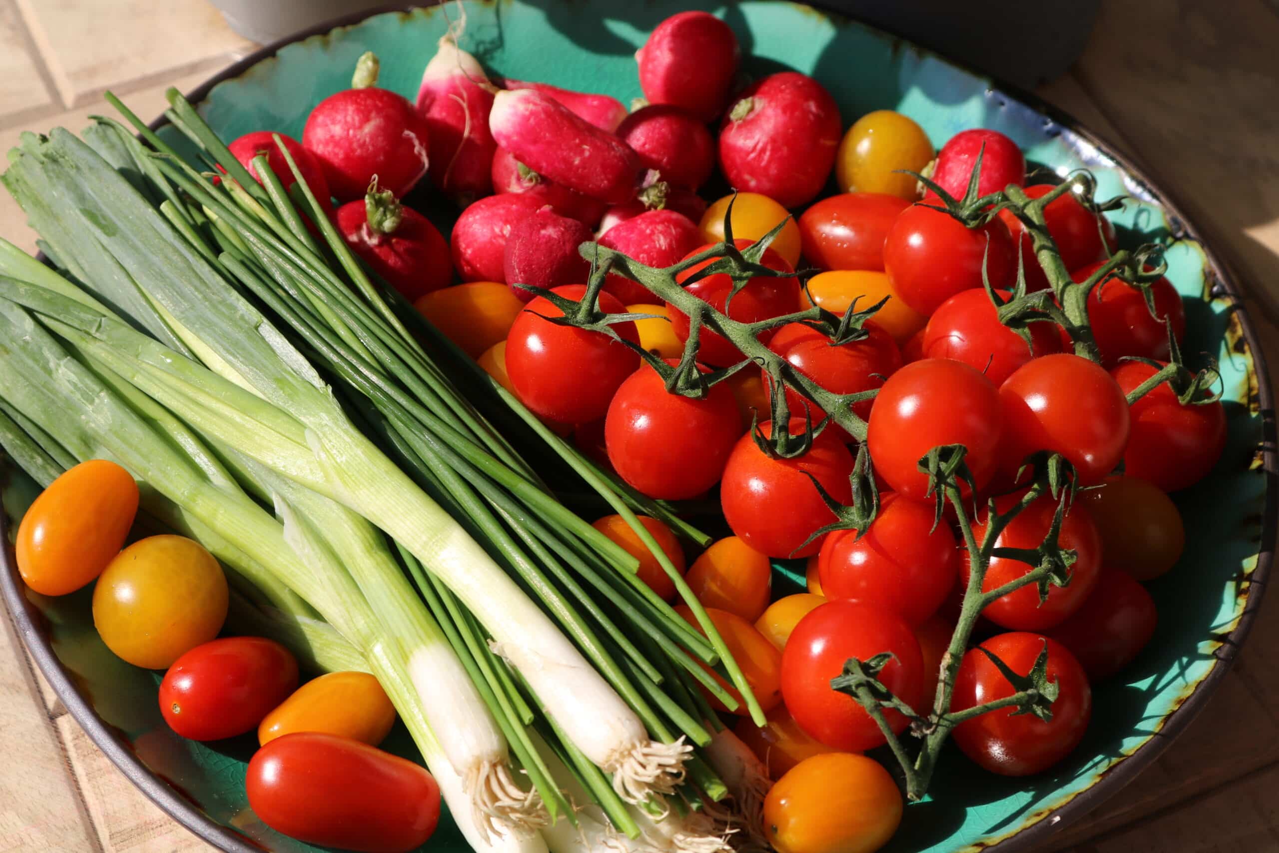 plate of vegetables