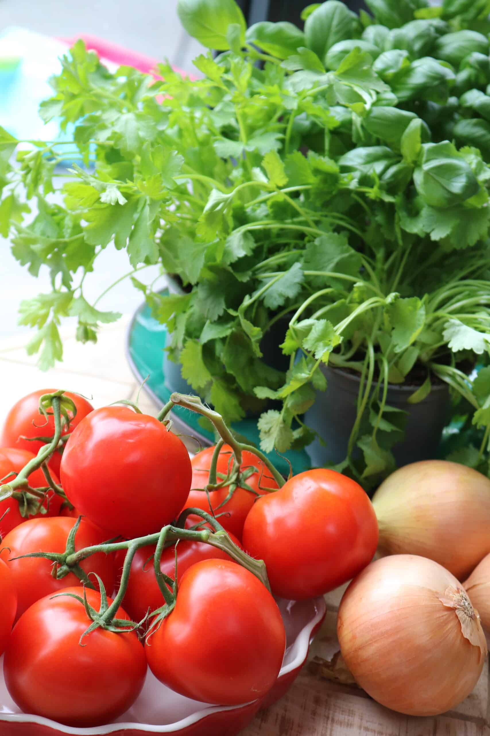 curry ingredients