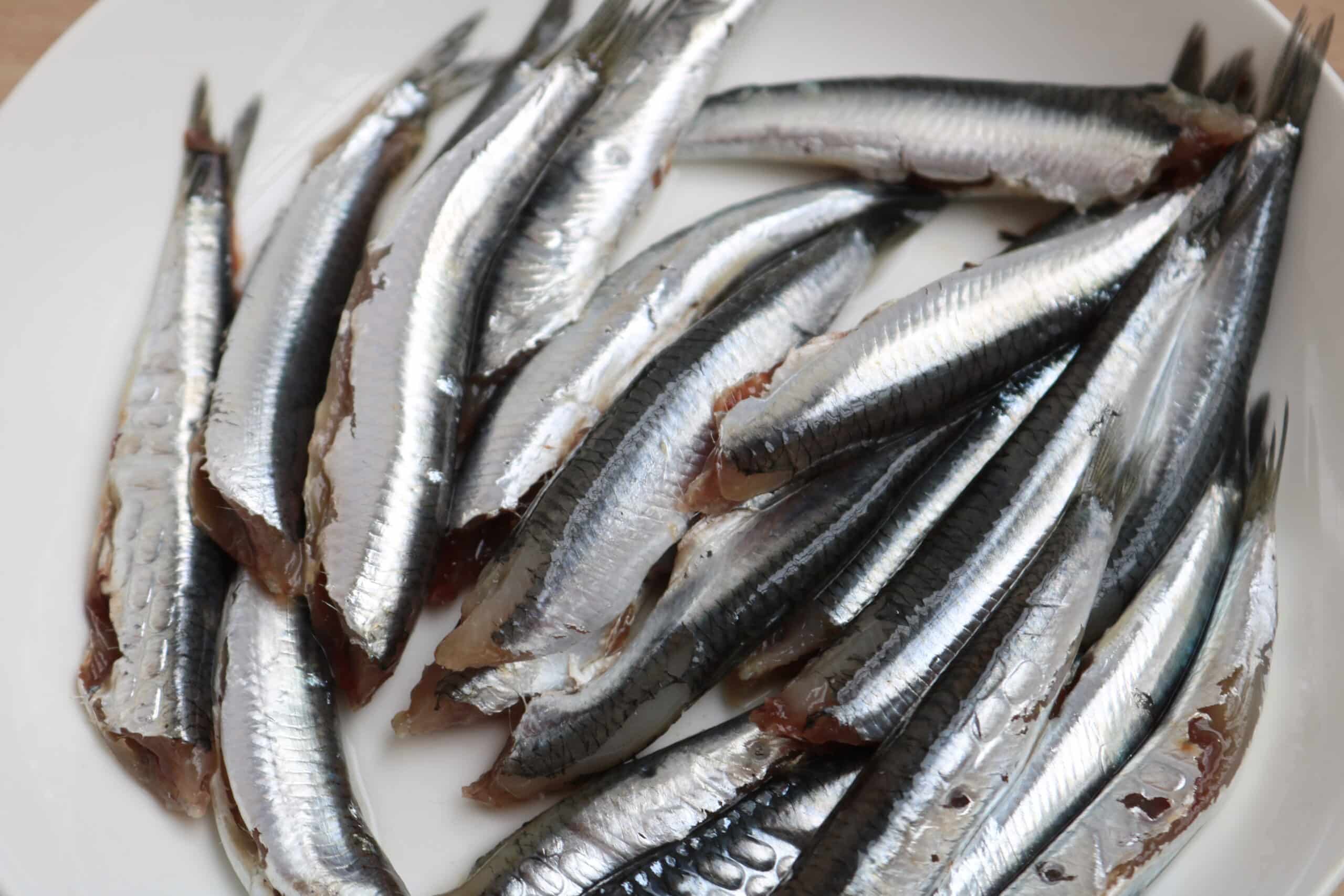 samak bizri (anchovies)