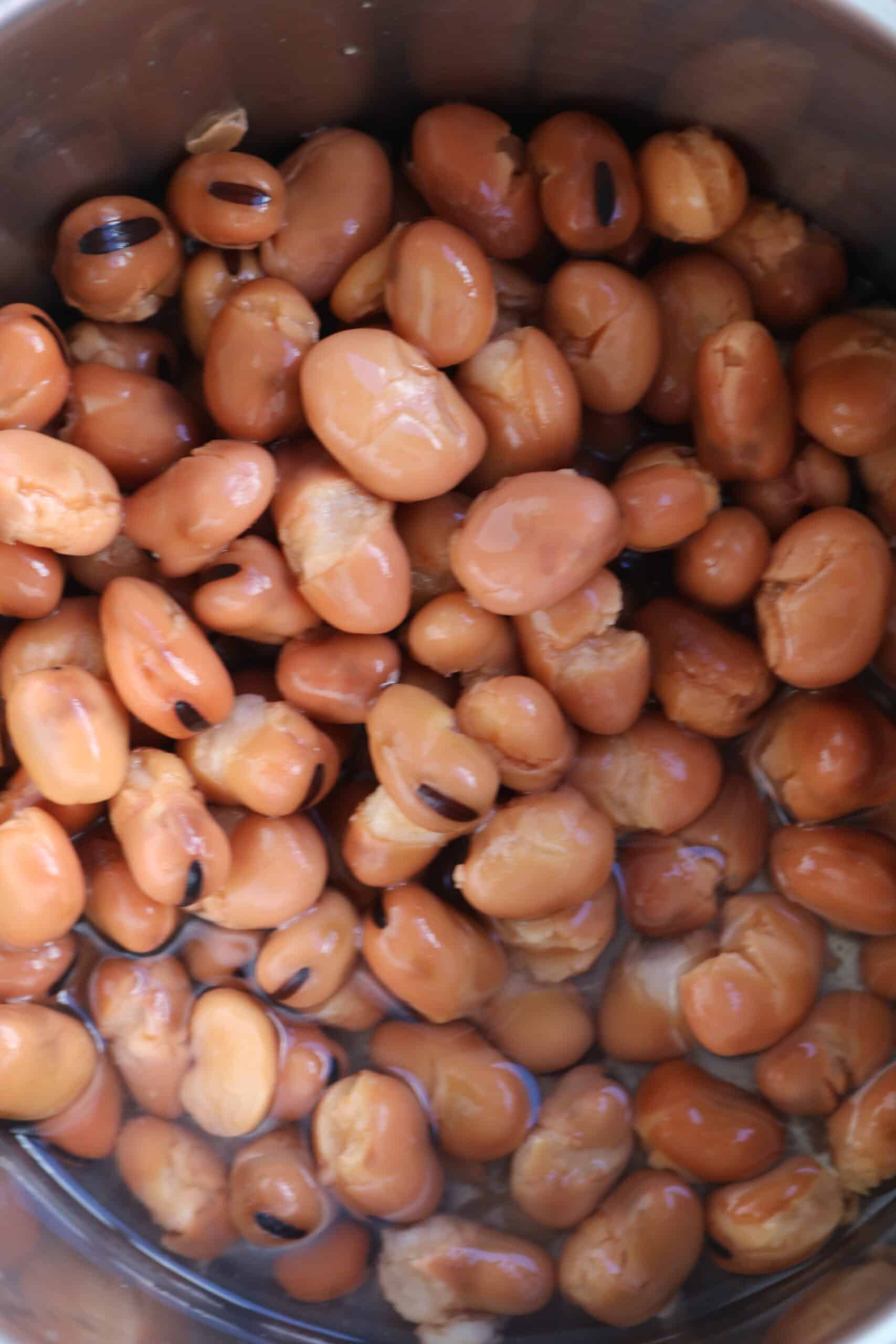 foul (fava beans)