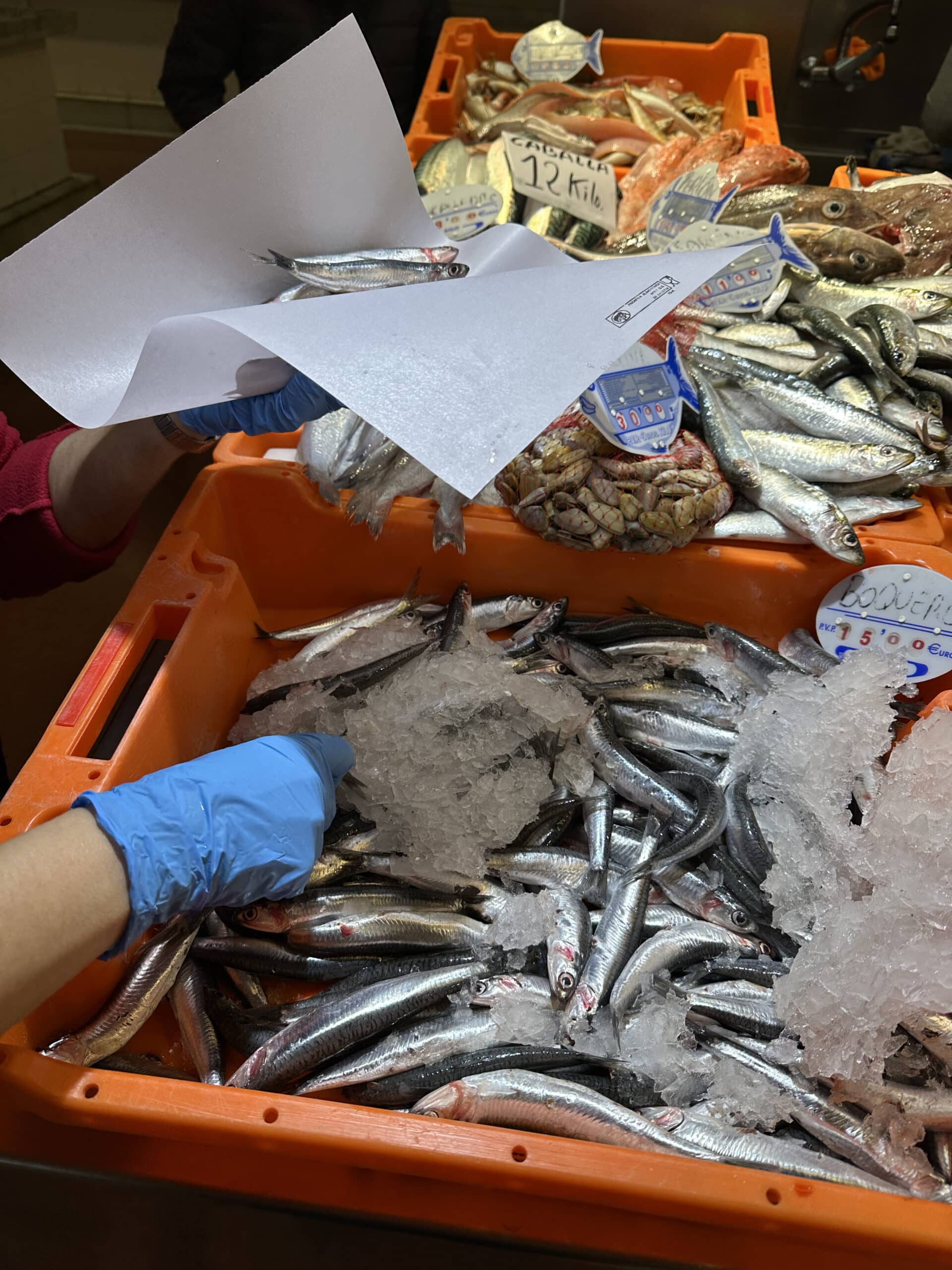 fish market
