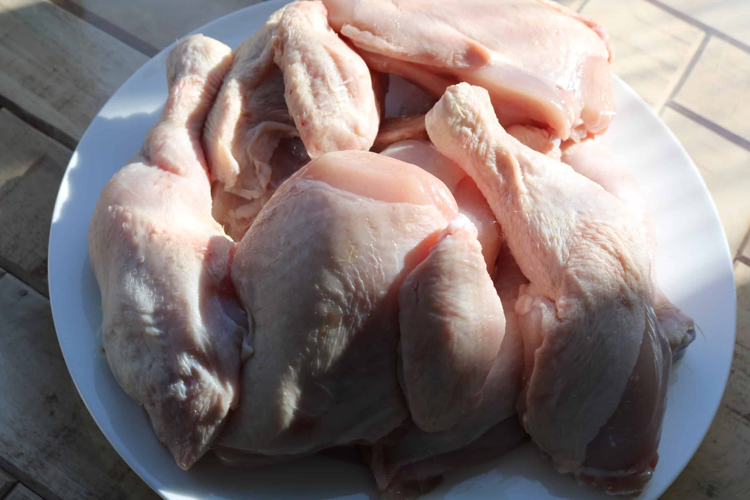 chicken