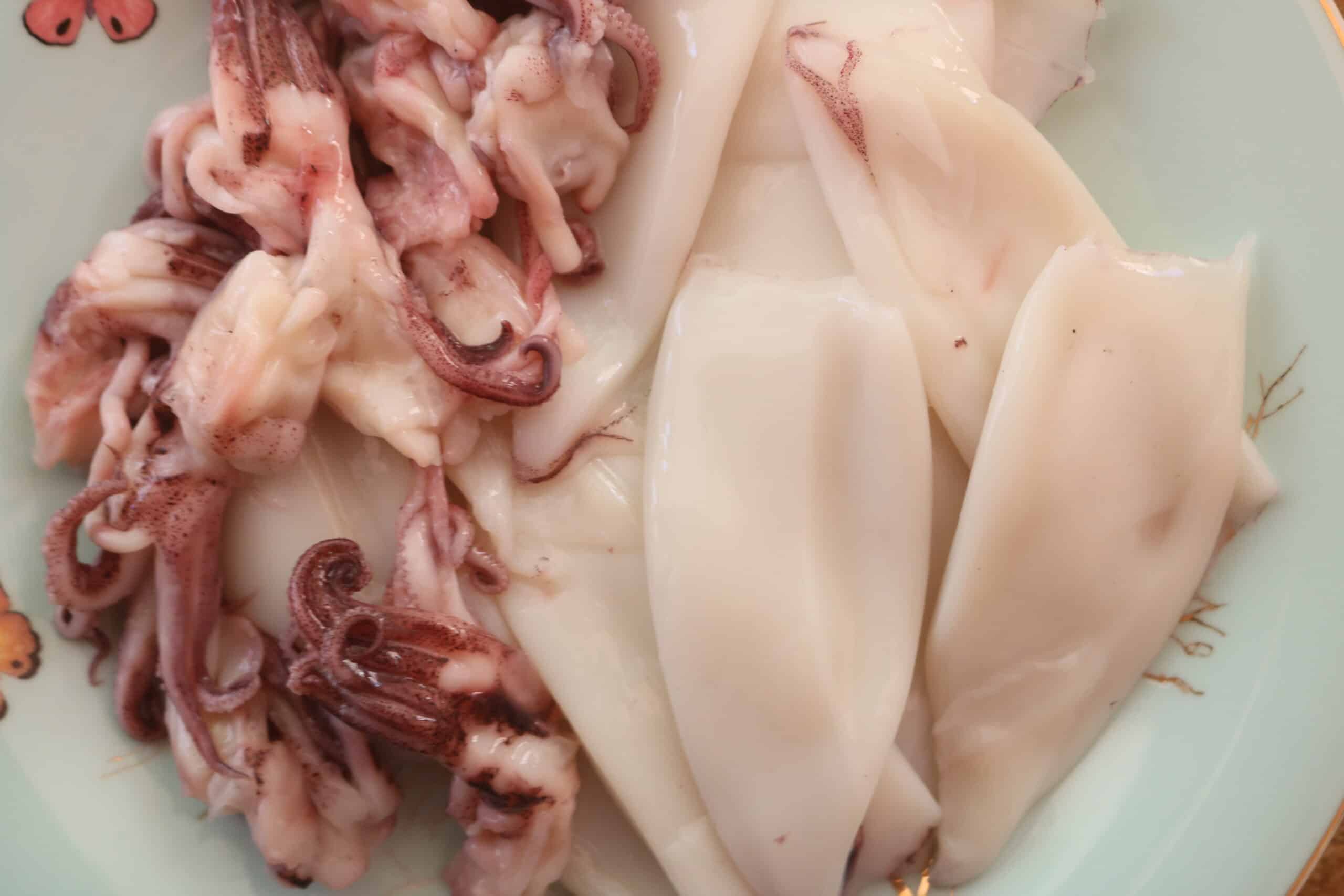 slice the squid