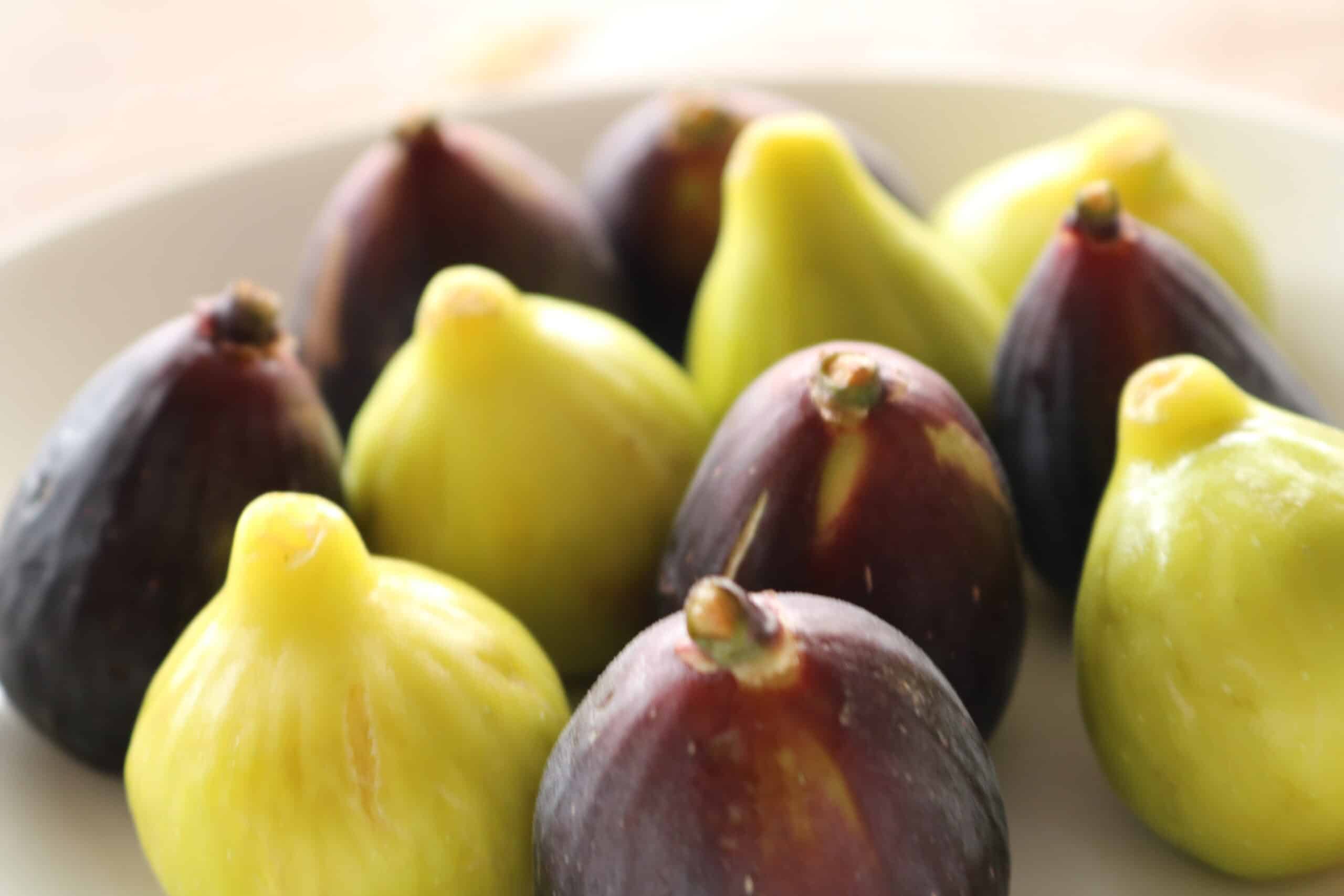 green and purple figs