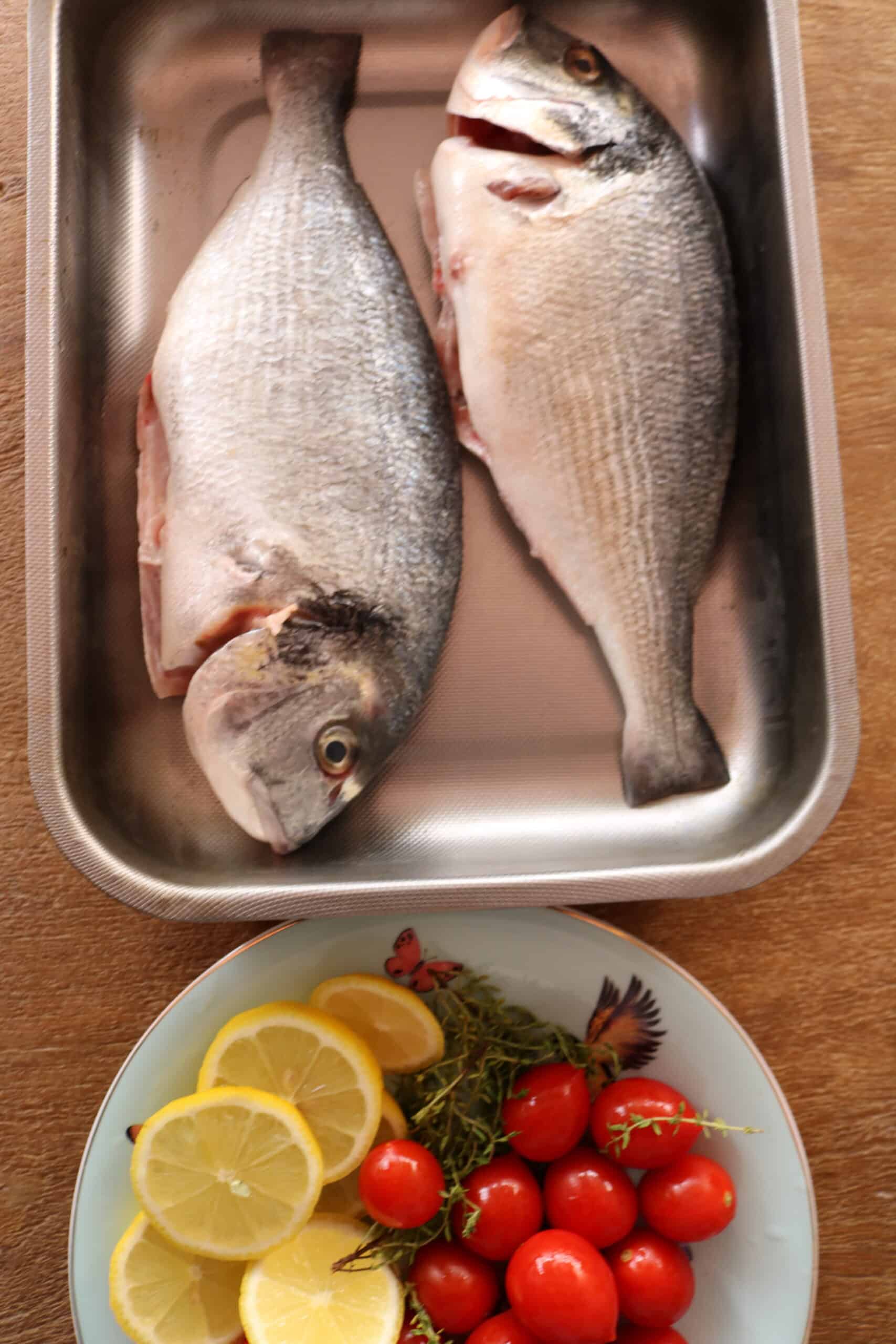 sea bream